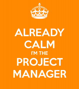 already-calm-i-m-the-project-manager-1